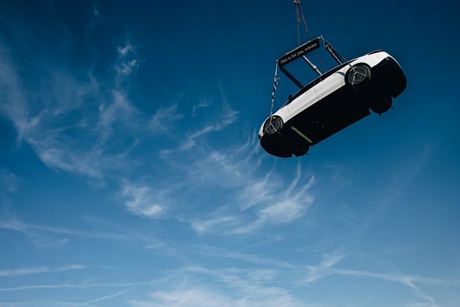 养需要时间 养需要时间